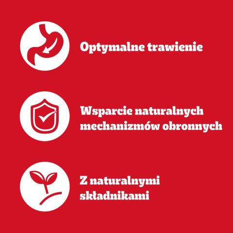 Pedigree Mokra Karma Dla Dorosłych Psów Saszetka Mix Smaków (Z Kurczakiem I Warzywami, Z Wołowiną I Warzywami, Z Indykiem I Marc