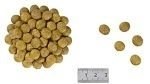 ROYAL CANIN Renal Feline 2kg