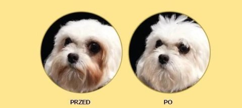 Nature's Protection Superior Care White Dogs Adult Small Breed With Lamb 1,5kg