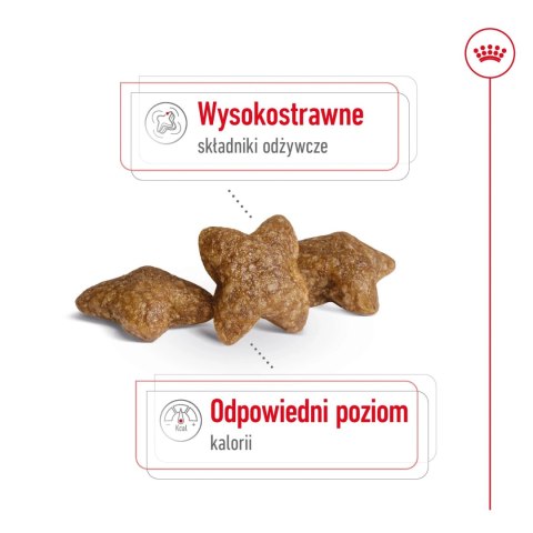 ROYAL CANIN Mini Adult 8kg