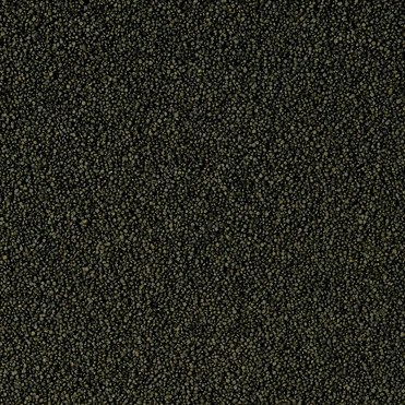 Tropical Super Spirulina Forte Mini Granulat 100ml