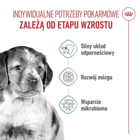 ROYAL CANIN Medium Puppy 4kg
