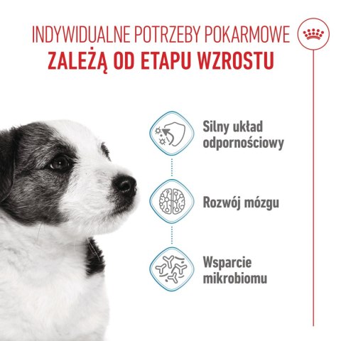 ROYAL CANIN Mini Puppy 4kg
