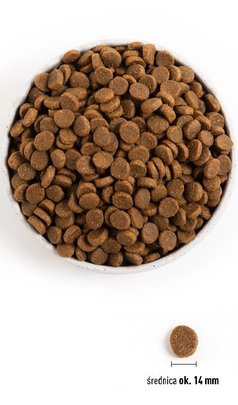 Acana Heritage Senior Dog 11,4kg