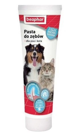 BEAPHAR Pasta Do Zębów Dla Psów I Kotów O Smaku Mięsa 100g