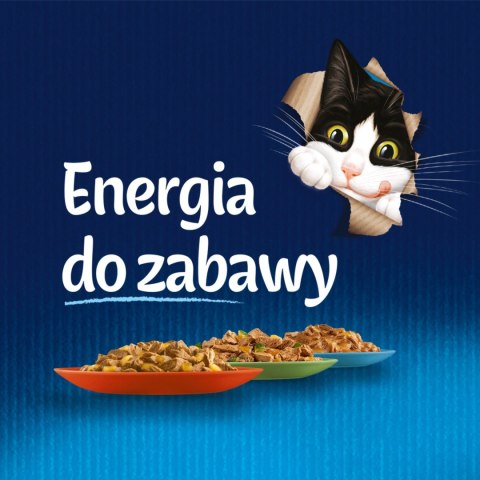 Felix Fantastic Wiejskie Smaki W Galaretce 12x85g