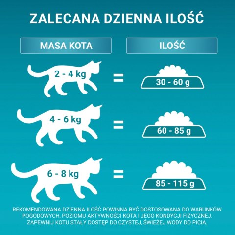 Purina One Cat Adult Z Kurczakiem Dla Kota 800g