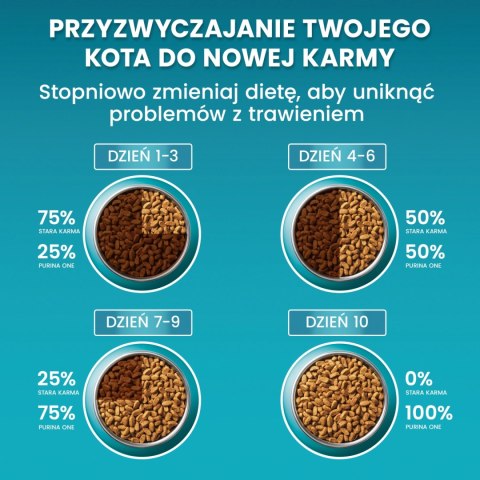 Purina One Cat Sterilcat Karma Z Wołowiną Dla Kota 1,5kg
