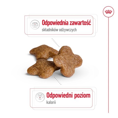 ROYAL CANIN Mini Adult +8 8kg