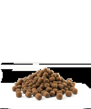 Versele-Laga Opti Life Adult Digestion Mini Z Jagnięcina I Ryżem 2,5kg