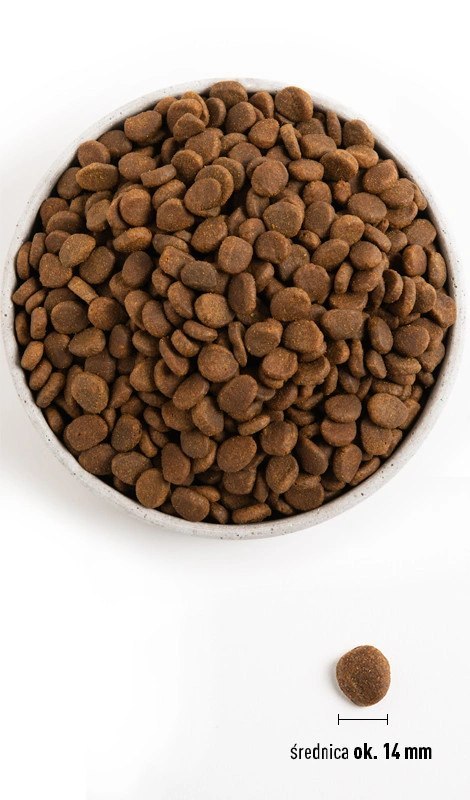Orijen Six Fish Dog 6kg