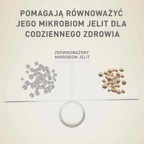 PURINA ONE Mini Delicate Łosoś, ryż - sucha karma dla psa - 800 g