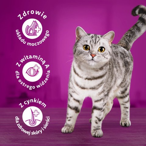WHISKAS Sterile 1,4kg - sucha karma dla kotów po sterylizacji z kurczakiem