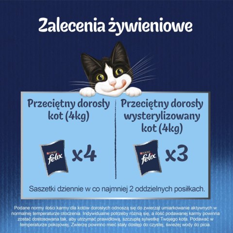 Felix Fantastic Mix Smaków W Galaretce Karma Dla Kota 44x85g