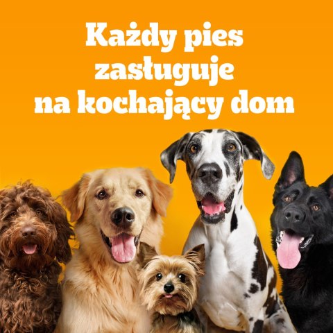 Pedigree Adult Professional Nutrition Drób Warzywa 12kg