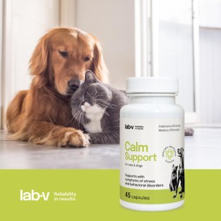 Lab-v Calm Support Wspomaganie Przy Objawach Stresu I Zaburzeniach Behawioralnych 45 Kapsułek
