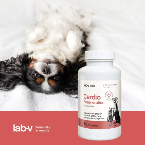 Lab-v Cardio Regeneration 90 kapsułek - wsparcie serca dla psów i kotów