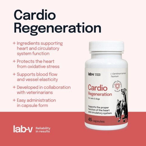 Lab-v Cardio Regeneration Wsparcie Prawidłowego Funkcjonowania Pracy Serca I Układu Krążenia Dla Psów I Kotów 45 Kapsułek