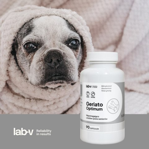 Lab-v Geriato Optimum Wspomaganie Zdrowia Seniorów Dla Psów I Kotów 90 Kapsułek