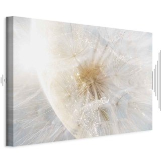 Obraz - Dmuchawiec w słońcu (1-częściowy) szeroki 120x80 Akustyczny