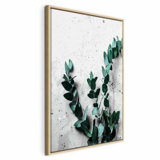 Obraz - Eukaliptusowy zapach (1-częściowy) pionowy 80x120 W ramie drewnianej naturalnej