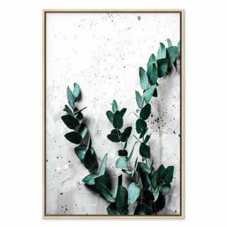 Obraz - Eukaliptusowy zapach (1-częściowy) pionowy 80x120 W ramie drewnianej naturalnej