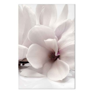 Obraz - Kwitnące światło (1-częściowy) pionowy 40x60 Premium Print