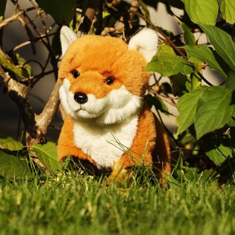 Rappa - Pluszowa realistyczna maskotka Lisek siedzący 23 cm Eco-Friendly Soft Collection