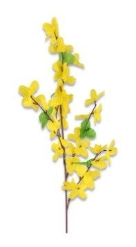 Forsycja gałązka pojedyncza H-52cm