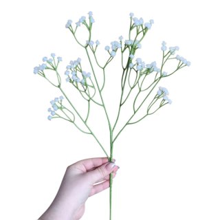 Kaszka gipsówki h-60cm