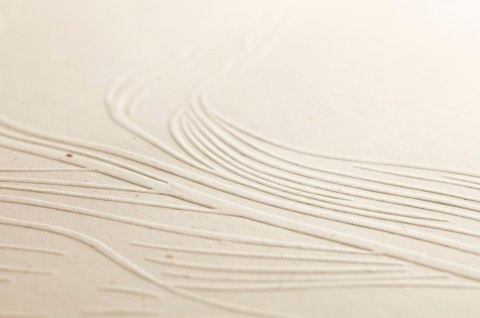 Notes na spirali A4 Tulip paper