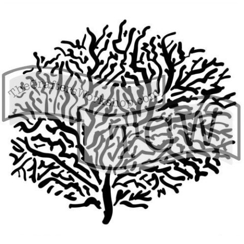 Szablon Mini Koral 15,2 cm