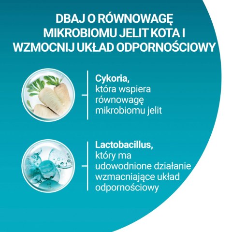Purina One Cat Coat & Hairball Karma dla kotów z kurczaka 800g