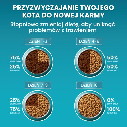 Purina One Cat Coat & Hairball Karma dla kotów z kurczaka 800g