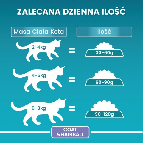 Purina One Cat Coat & Hairball Karma dla kotów z kurczaka 800g