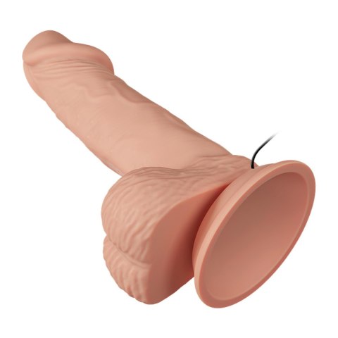 BAILE-Beautiful Zebulon Vibration 7.6""""