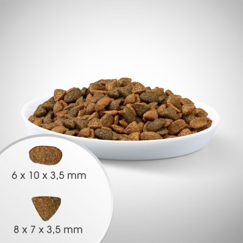 IttenFit Junior Kurczak 7 kg - pełnoporcjowa sucha karma dla kociąt