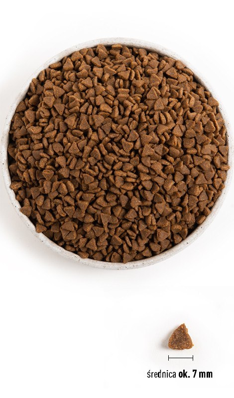 ACANA First Feast Cat 340g