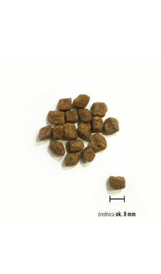 ORIJEN SMALL BREED PUPPY 1,8 KG