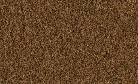 Tetra Delica Bloodworms 100ml