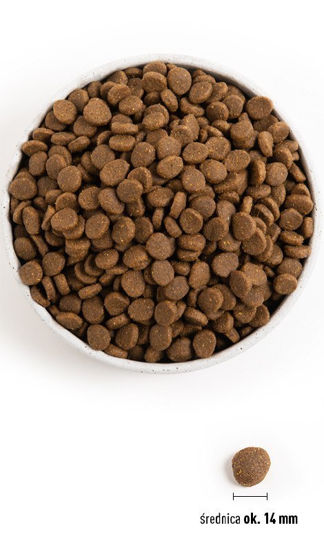 ACANA Grasslands Sucha Karma Dla Psów Wszystkich Ras 2Kg