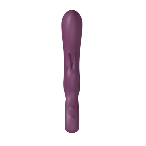 Rabbit vibrator PURPLE