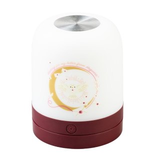 Harry Potter - Lampka ambientowa LED dla dzieci bezprzewodowa USB-C z regulacją jasności