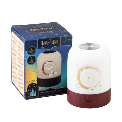 Harry Potter - Lampka ambientowa LED dla dzieci bezprzewodowa USB-C z regulacją jasności