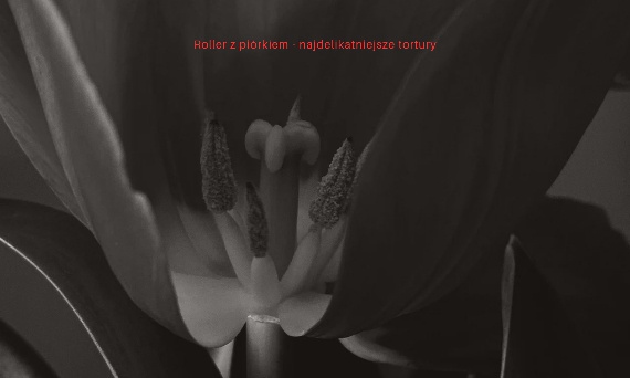 Rozdział 11 - Roller z piórkiem - najdelikatniejsze tortury