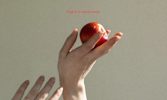 Rozdział 14 – Plug-in w cieniu świec