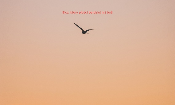 Rozdział 4 – Bicz, który pieści bardziej niż boli