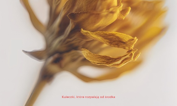 Rozdział 7 - Kuleczki, które rozpalają od środka